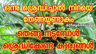 തെങ്ങ് നടുമ്പോൾ അറിയേണ്ടതെല്ലാം / Everything to know when planting coconut