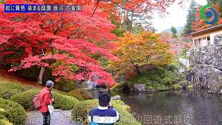 赤に黄色 染まる庭園 鹿沼 古峯園