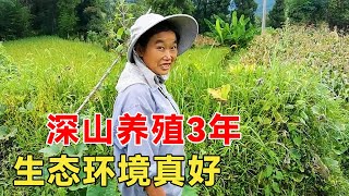 贵州深山发现一独户，70后大姐回归深山养殖3年，这生态环境真好【乡村阿泰】