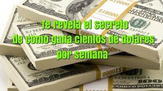 Como ganar $ 5000  dolares a la semana