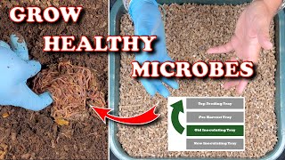 Supercharge Your Worm Tower From The Bottom Up! | Vermicompost Worm Farm