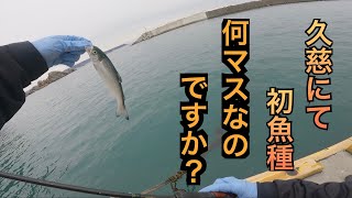 【岩手県＆青森県釣り】そろそろゴールデンアイナメを釣らせてください...