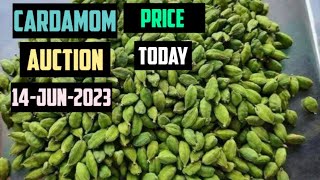 Cardamom Elaichi Auction Live Price Today 14 June 2023