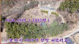 NO.150 금수산 자락 청풍호 조망 폐교 매매(재업로드) 급해서 매매가 왕창 내렸어요 /2883평