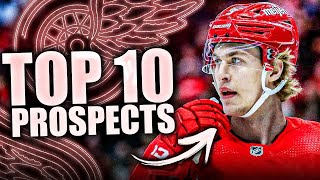 THE TOP 10 DETROIT RED WINGS PROSPECTS (THE BEST PROSPECT POOL IN THE NHL)