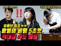 프로VS 국내 탑 교수님 역대급 왕벌의 비행 속도 대결