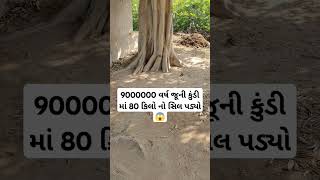 9000000 વર્ષ જૂની કુંડી માં 80 કિલો નો સિલ પડ્યો 😱#trending #viral #Reels #funny