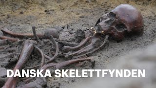 Se gravplatsen: 50 vikingaskelett hittade i Danmark