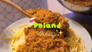 폴란드🇵🇱Vlog] 먹부림 일상👩🏻‍🍳 | 혼술 & 혼커타임 | 까르푸, 비에드론카 마트 장보기 | 라구 파스타 | 비프 부르기뇽 만들기 | 집밥메뉴 | 폴란드 브이로그 Ep.23