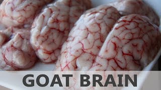 Health Benefits Of Goat Brain Or Lamb Brain - Lean Protein Foods - Healthy Foods