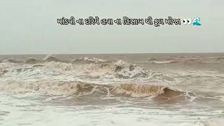 માંડવી બીચ 🌊😱😳😲 #mandvibeach #mandvi #beach #kutch #kutchgujrat #gujarat #gujaratinews