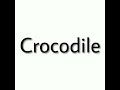 How To Pronounce Crocodile