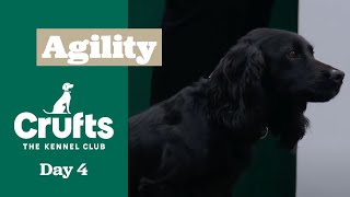 Championship – Small/Medium - Agility Final ​Crufts 2025