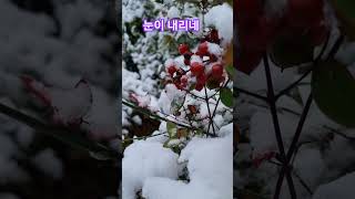 #캐서린의사랑 #캐서린의영상일기 #첫눈