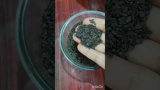 నల్ల జీలకర్ర ఇలా తీసుకుంటే ఎంతో healthy#blackcuminseeds#healthy#kalonji#blackcumin#ytshorts#