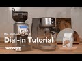 beanz.com | How to dial-in Elevate espresso by Veneziano using the Bambino® Plus | Breville AU