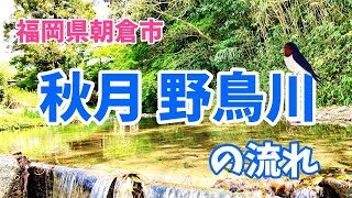 【30秒動画】秋月 野鳥川の流れ（福岡県朝倉市）