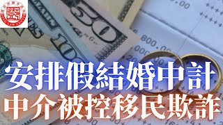 安排假結婚申請綠卡, 移 民中介被指控移民欺詐