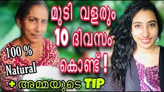 മുടികൊഴിച്ചിൽ മാറി മുടി ഉള്ളോട് വളരാൻ || ഞാൻ ഉപയോഗിച്ച SIMPLE HAIR MASK || How to Stop Hair Fall ||