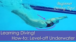 Beginner Learning Diving! How-to: Level-off Underwater