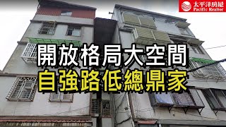 《看房去》自強路低總鼎家 | 開放式格局 | 低總價使用空間大 | 樂高冠軍團隊