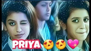 Priya prakash Warrier Awesome Whatsapp Status Love Video/Valentines Day Love Video Priya Varrier