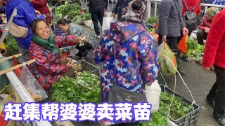 娜姐妯娌真有默契，同时起床帮婆婆摘菜苗去赶集，和睦婆媳人人羡