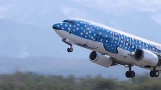 ジンベエジェット 沖縄へ飛び立つ JTA Jinbei Jet Fly to Okinawa