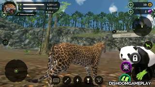 Panther Online (by Swift Apps LTD) Panther Vs Panda - Android Gameplay #1 | Dishoomgameplay