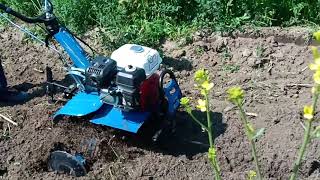 BCS Power Tiller Gratia 100 B (Petrol Engine  7 HP 4 Strokes) Working Video