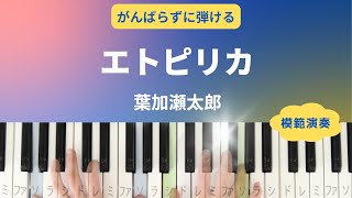 【模範演奏】エトピリカ【超初心者向け】