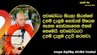 අවබෝධයට දහම් දැනුම උදව් කරනවා.2398Ven Hasalaka Seelawimala Thero