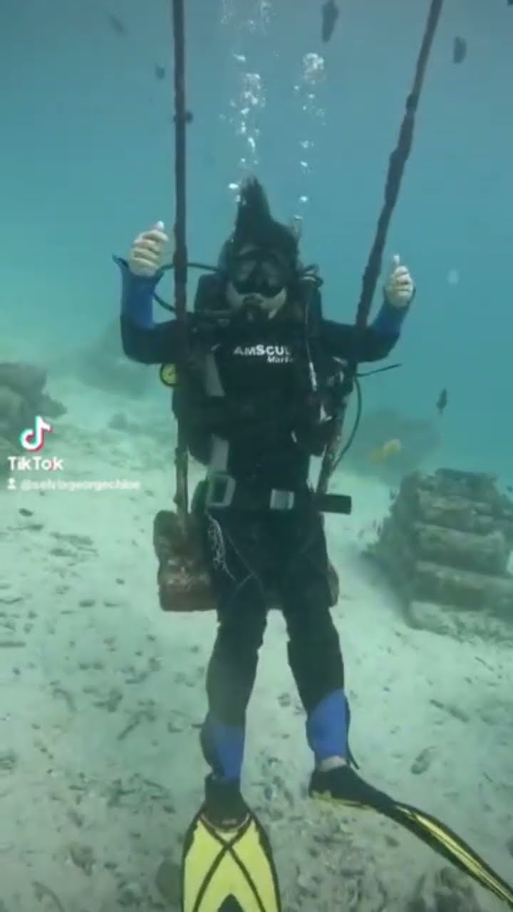 Diving Youtube