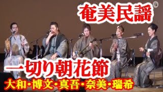 一切り朝花節   徳原大和　松崎博文　前山真吾　牧岡奈美　中村瑞希　奄美民謡　奄美シマ唄  amami【字幕】