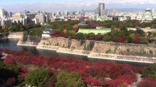 紅葉・錦秋の大阪城と大阪城公園