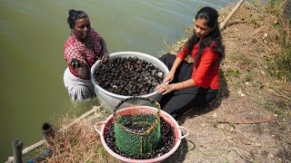 My grandmother collects clams in the traditional way / Real life vlog