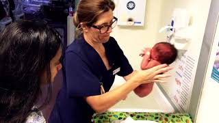 Celebrating our Nurses and Midwives