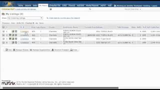 How To Save An Incomplete Listing In Matrix And Then File As Active Later