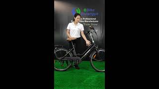 Shuangye 24'' 28'' city commute ebike A3AL24