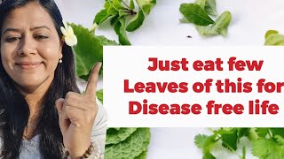 Just Eat these 6 types of Leaves every day for Disease Free Life |  Miraculous Leaves