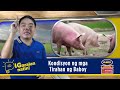 pigaralan natin pagpili ng tamang breeders