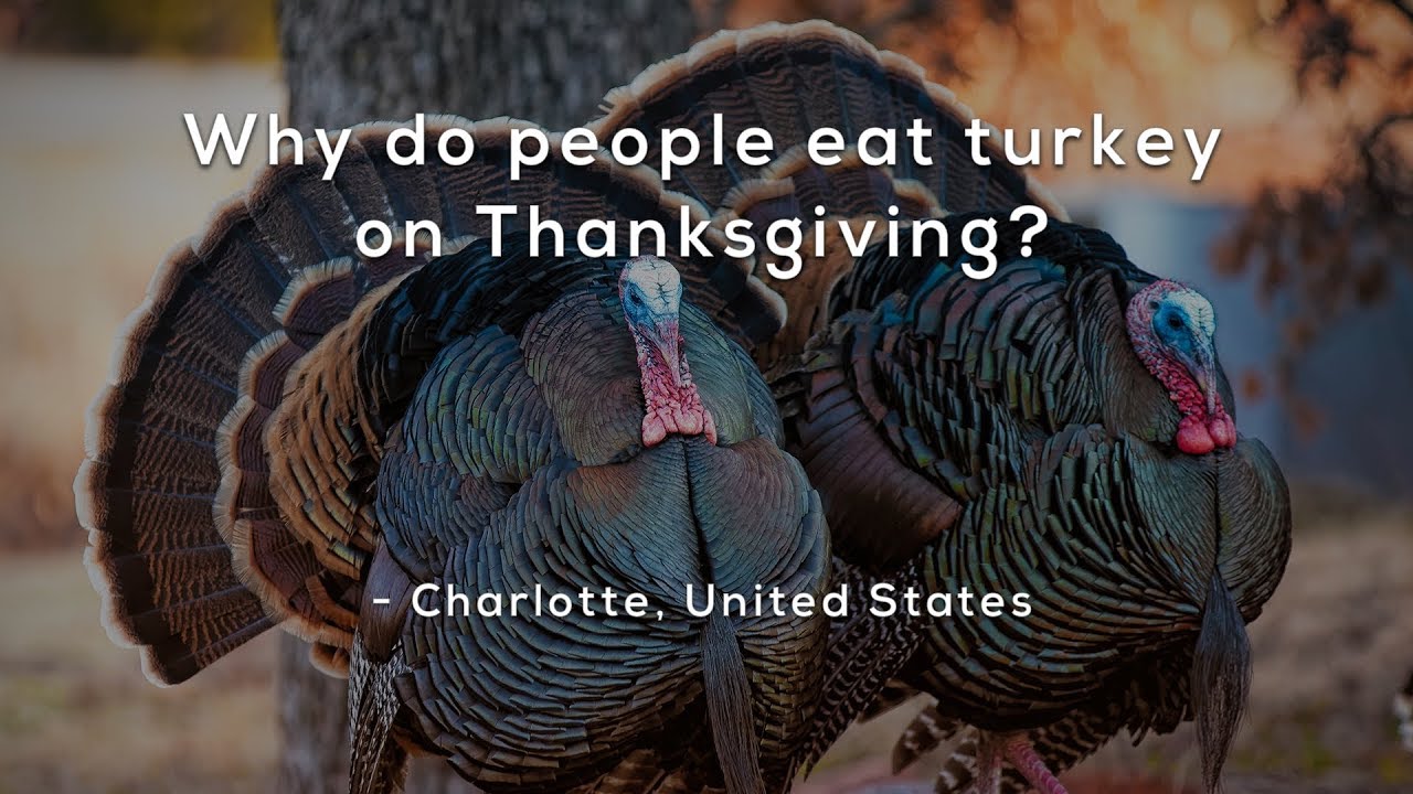 Why Do People Eat Turkey On Thanksgiving? - YouTube