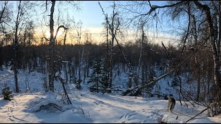 Winter Property Walk - Exploring a section of our land