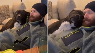 Dog and owner adorably cuddle on the couch #shorts