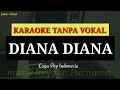 Lagu karaoke tanpa vokal // nonstop tiga lagu // Diana, Abang becak dan kolam susu