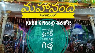 మహానంది మహా సంగ్రామంలో 1వ జత KRBR \u0026PR.పల్లి శ్రీరాములు యాదవ్