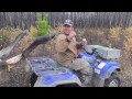 boss outfitting bull moose hunting highlights alberta canada