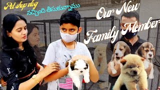 My New Family Member | Pet Lovers | Pet | Shihtzu Puppy | Vlog | Pet Shop | myself sailaja