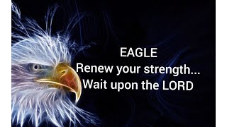 LESSON FROM EAGLE - BIBLE SCRIPTURE