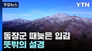 봄 시샘 동장군 때늦은 입김...뜻밖의 설경 / YTN